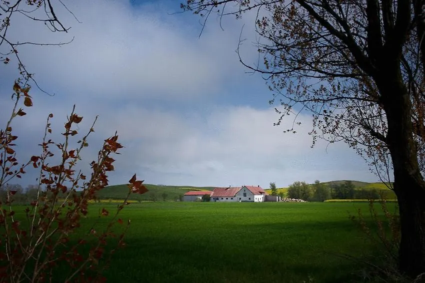 Bed & Breakfast Vinkille-1